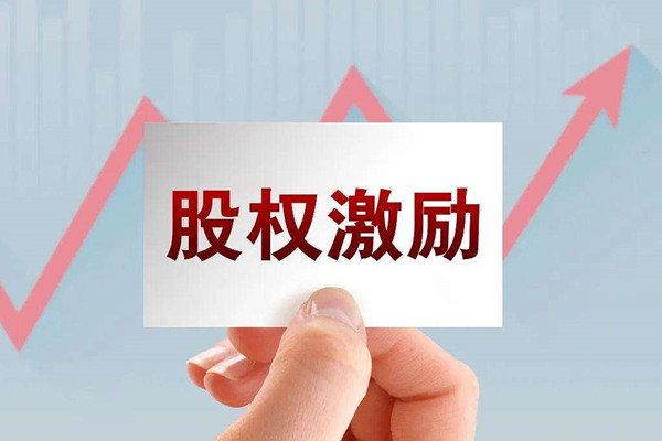非上市公司為什么要實施股權激勵？