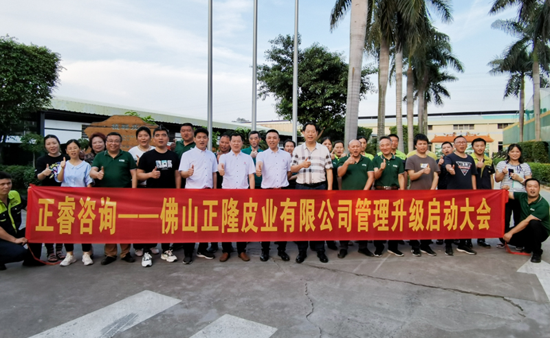 助力皮革行業再樹標桿——正隆皮業全面管理升級項目啟動！