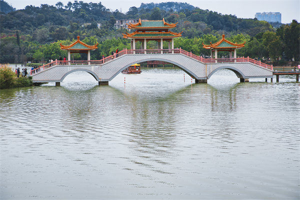 肇慶企業(yè)如何借助管理咨詢(xún)實(shí)現(xiàn)高效轉(zhuǎn)型？