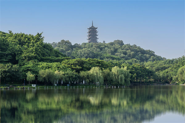 如何評估佛山集團管控咨詢公司的服務質量和效果？
