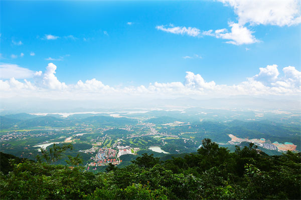 企業戰略飄在半空落地難，惠州戰略咨詢公司能錨定方向嗎？