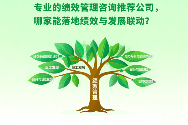 專業的績效管理咨詢推薦公司，哪家能落地績效與發展聯動？
